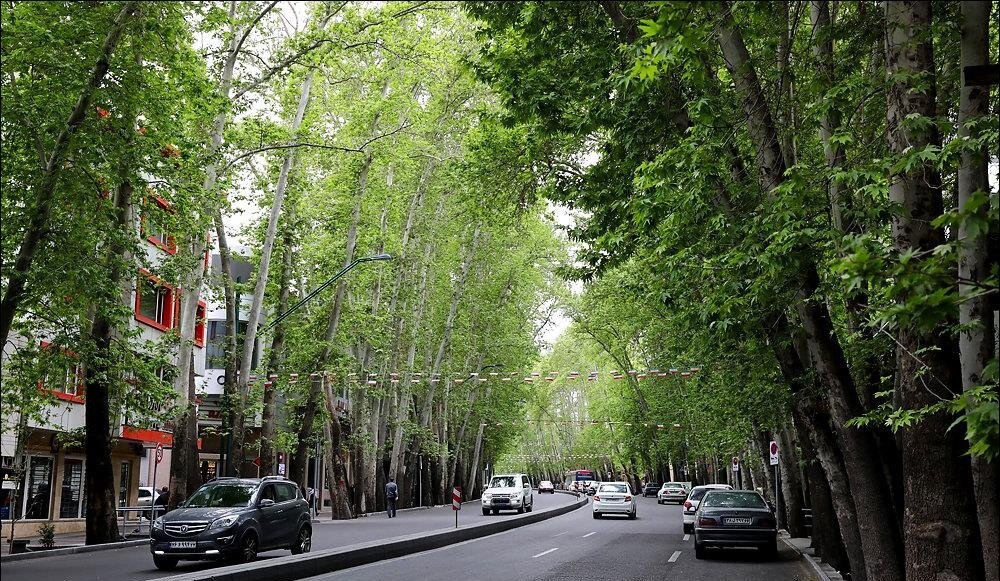 پیاده رو و خیابانی داستان جهانی که من در آن نیستم